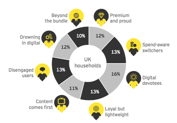 EY's segmentation of the digital household